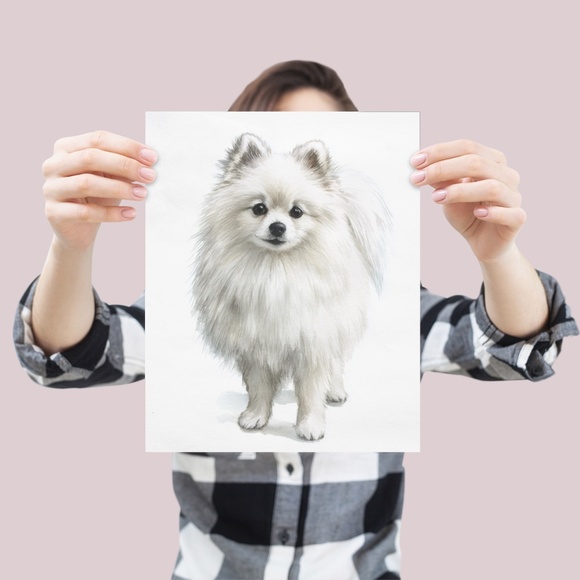 Watercolor Pomeranian Dog Portrait Art Print – Unframed Fine Art Poster - Picture 4 of 5